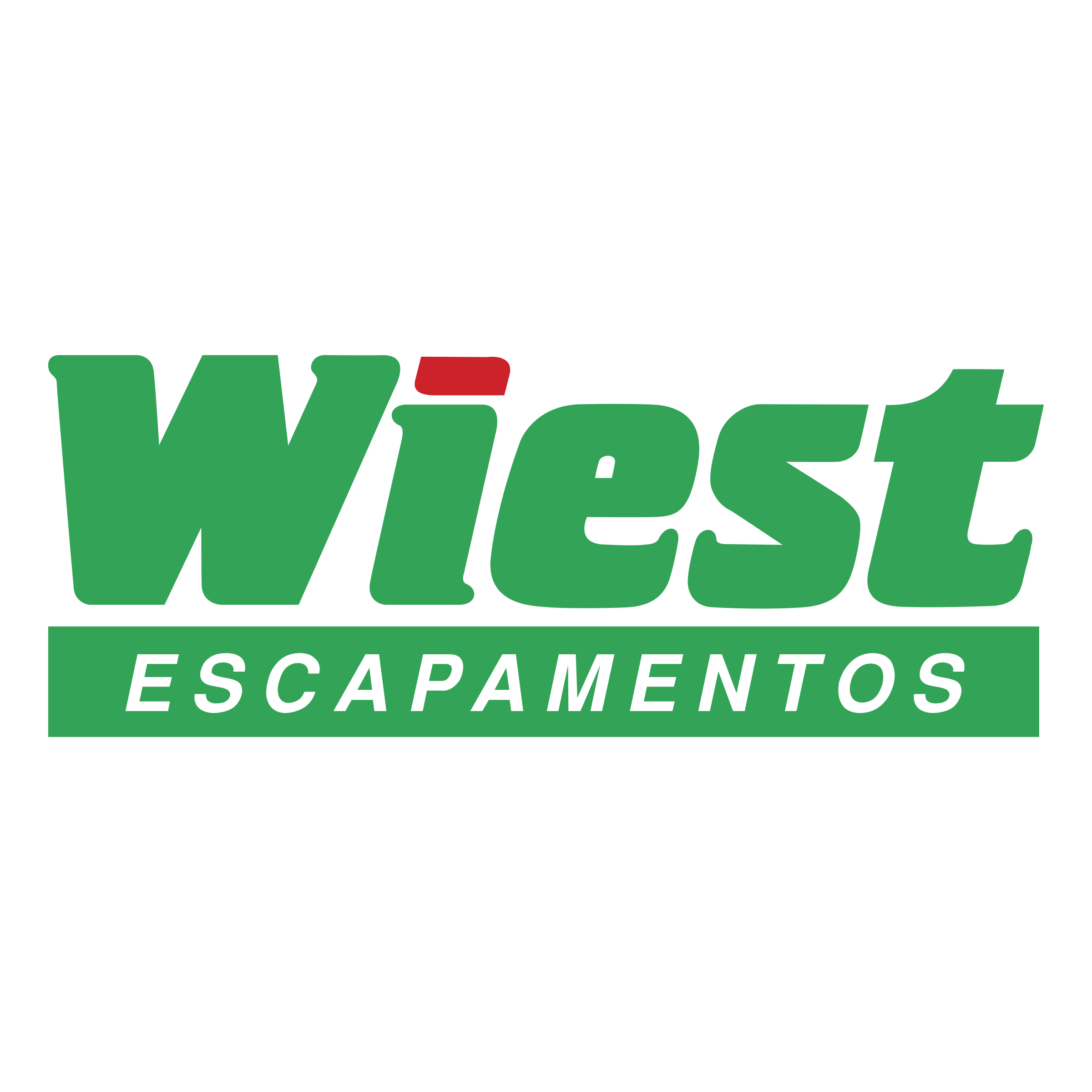 Wiest S A Logo png transparent