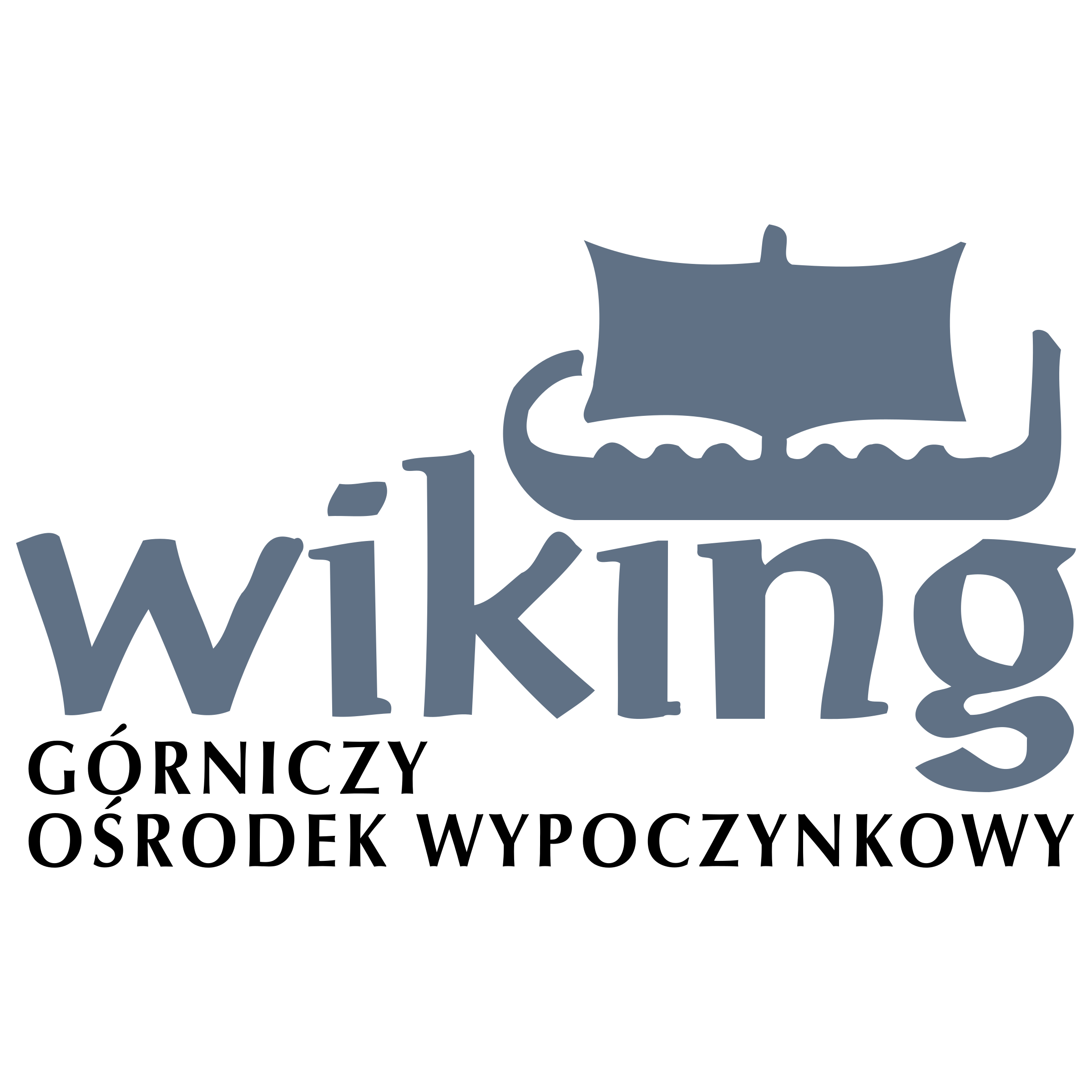 Wiking Logo png transparent