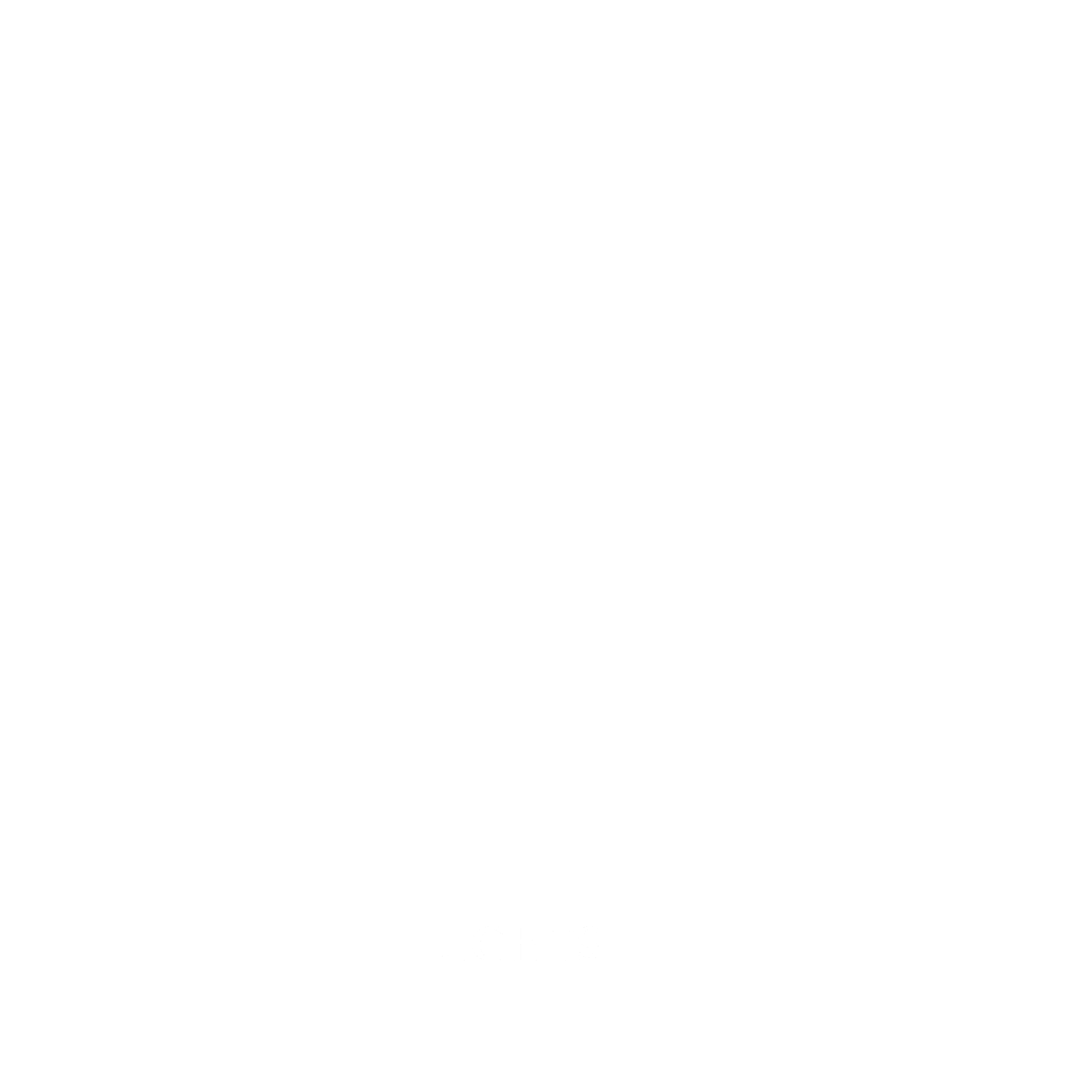 Winston Lights Logo black and white