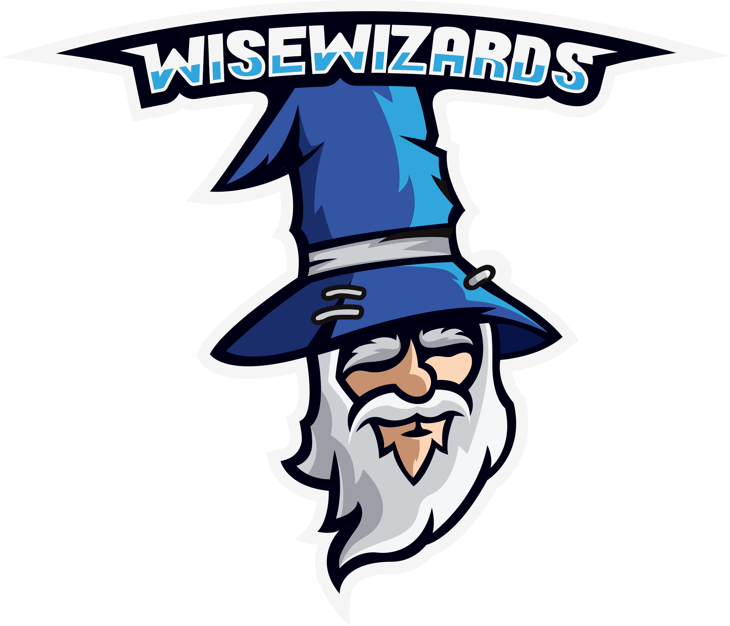 WiseWizards Logo png transparent