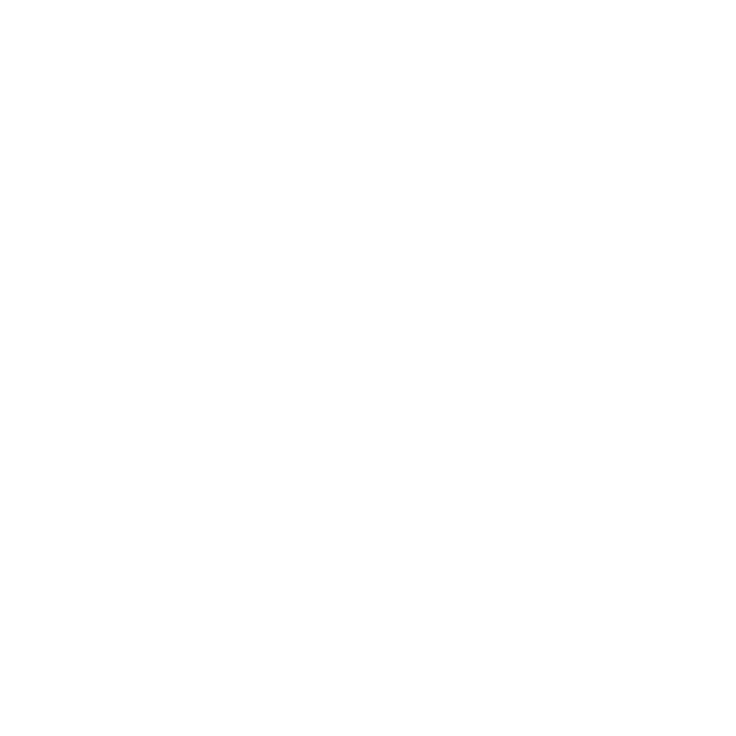 Witex Logo black and white