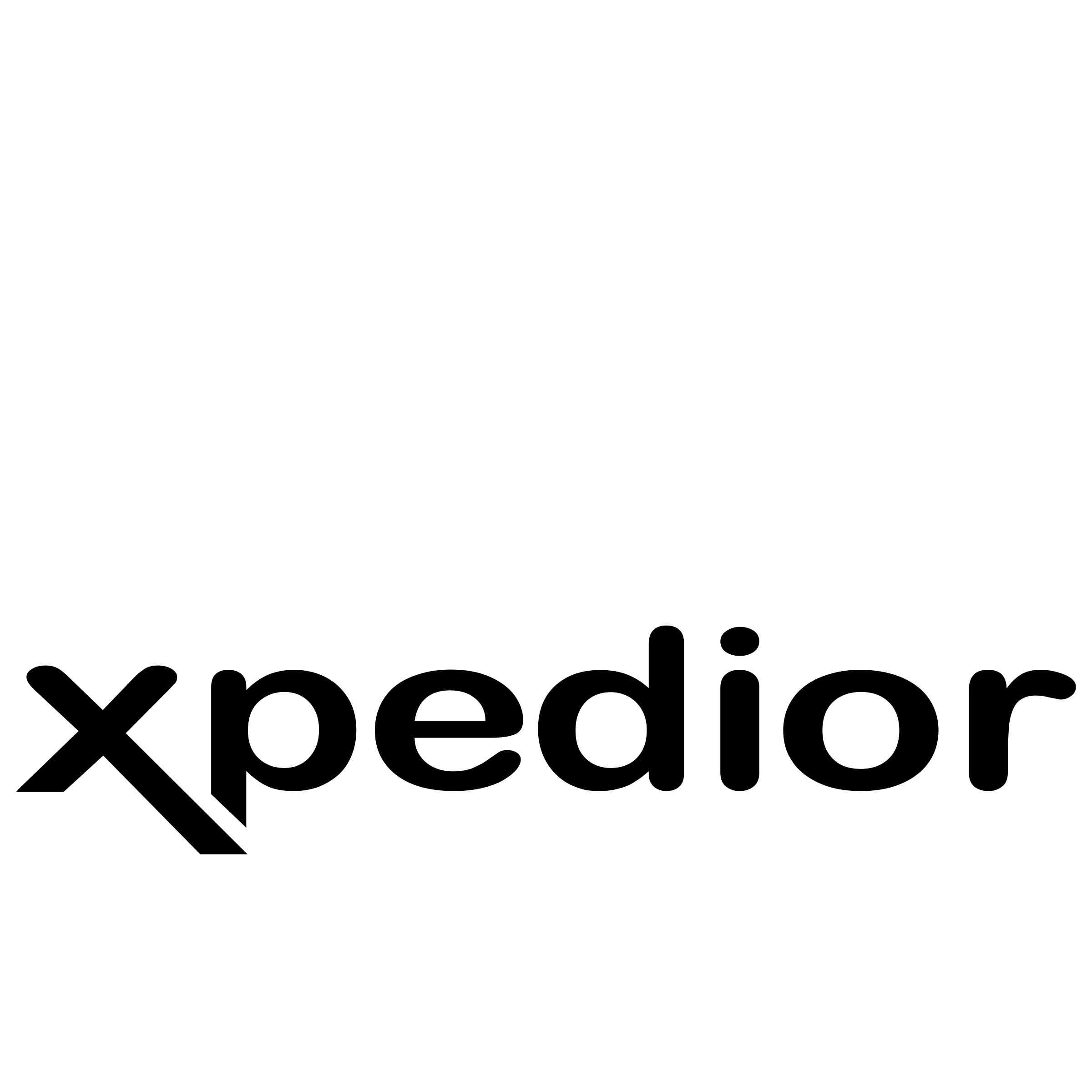 Xpedior Logo black and white