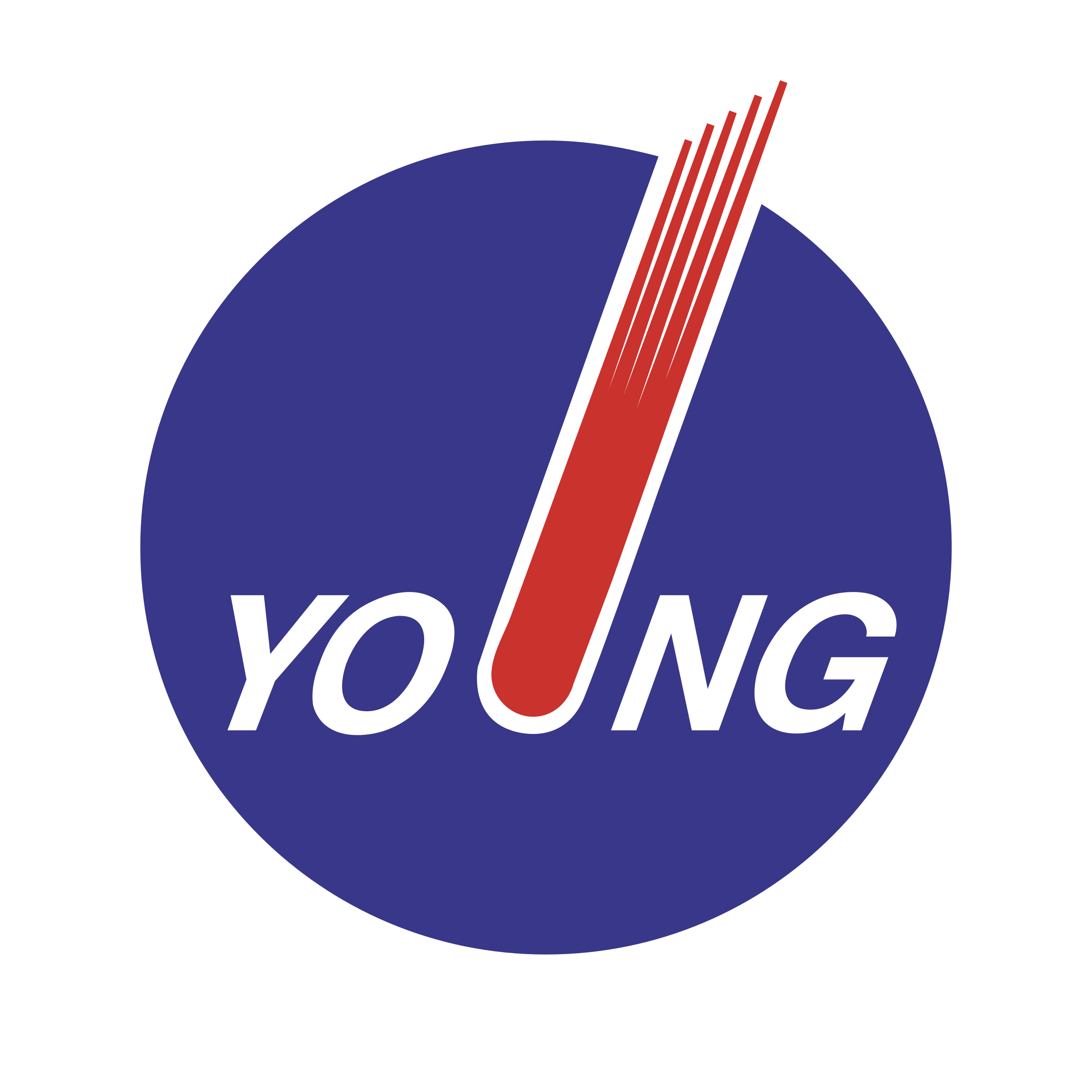 Young Lin Instrument Logo png transparent