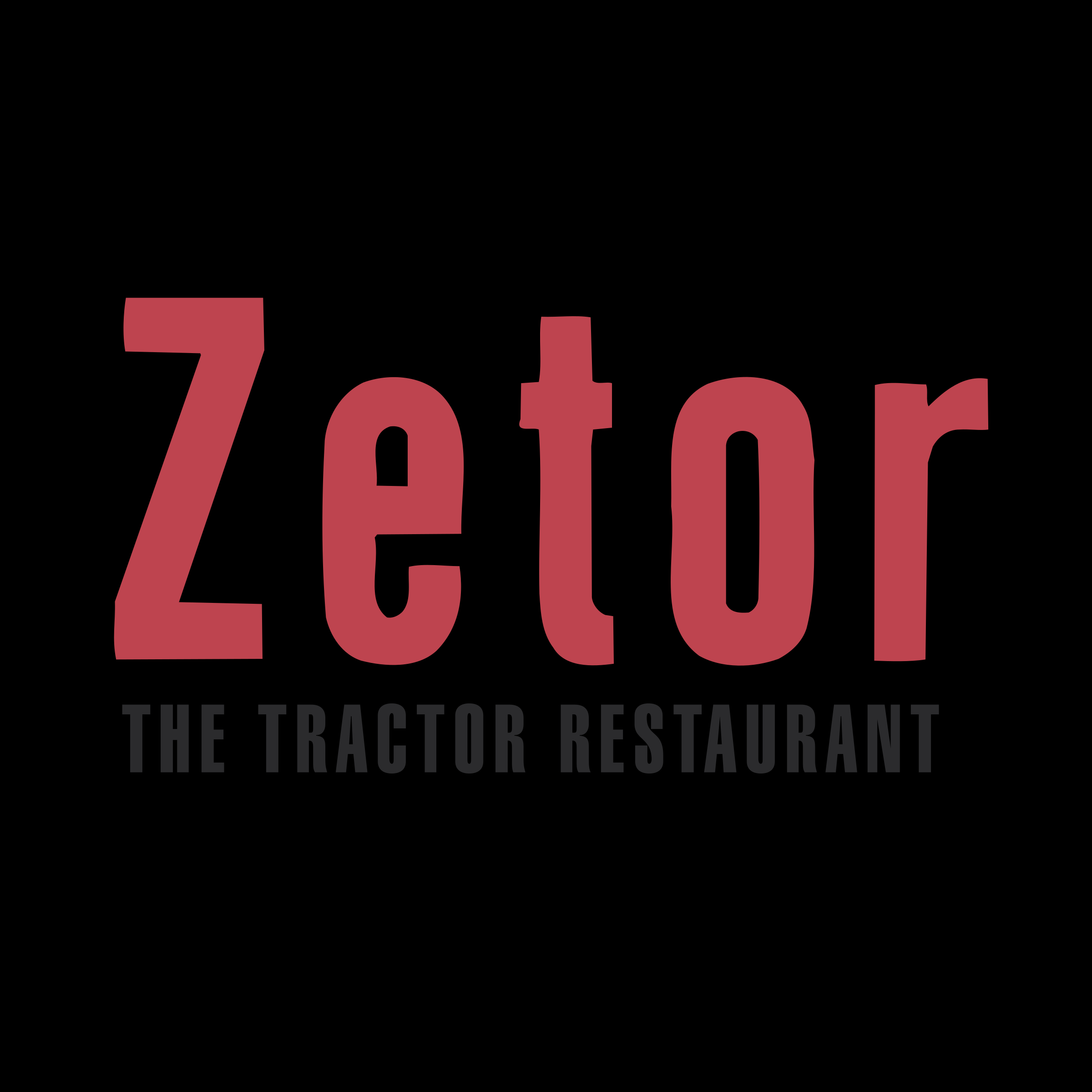Zetor Logo