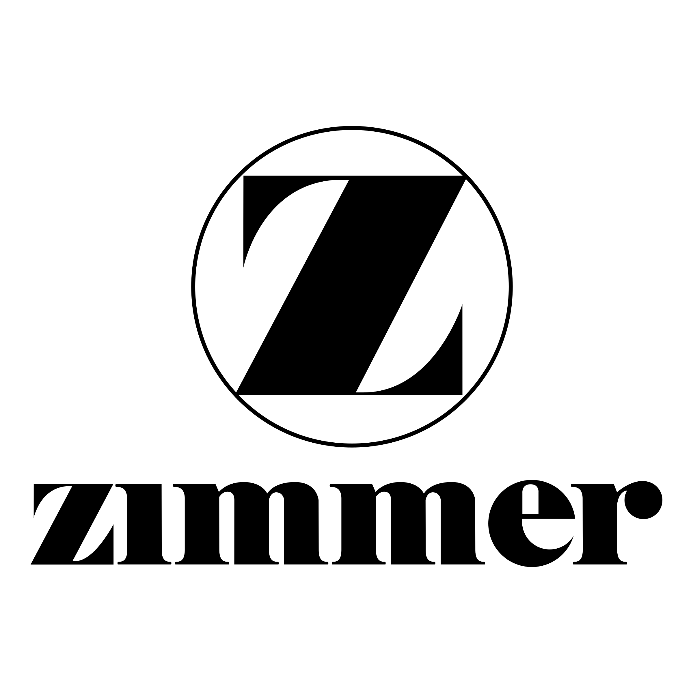 Zummer Logo png transparent