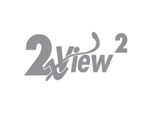 2xView2 Logo