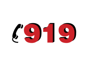 919 Logo