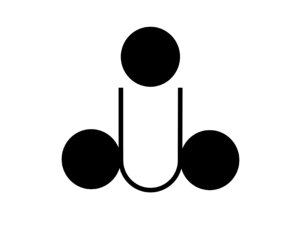 Aina Logo