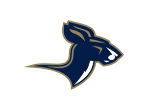 Akron Zips 04 Logo