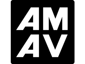 AMAV TOYS Logo