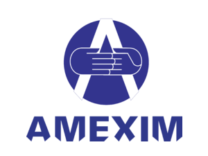 Amexim Logo