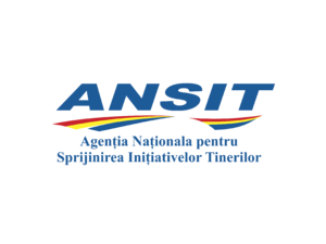 ANSIT Logo