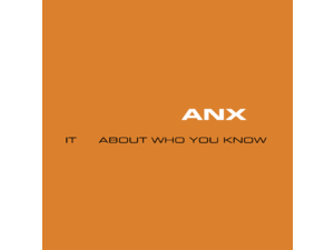 ANX Logo