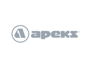 Apeks Logo