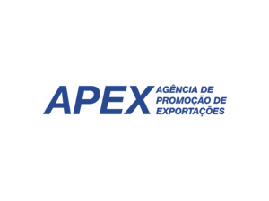 Apex 06 Logo