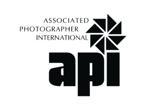 API Logo