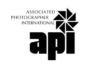 API Logo