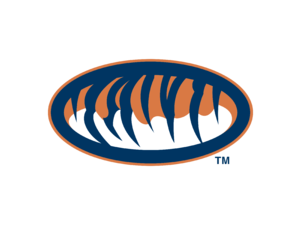 Auburn Tigers Logo