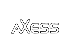 Axess International Network Logo