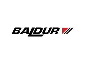 Baldur 6635 Logo
