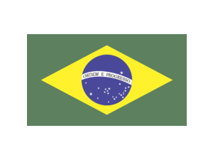 Bandeirado Brasil Logo