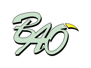 BAO 01 Logo