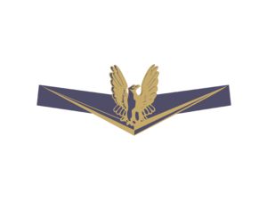 Bertram Yacht Eagle 877 Logo