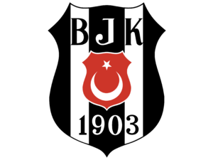 Besiktas 7808 Logo