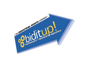 Biditup! 01 Logo