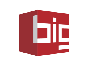 BIG Logo