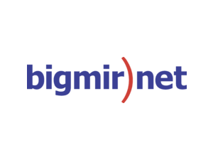 Bigmir Net Logo