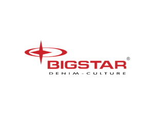 BigStar Logo
