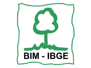 BIM IBGE 01 Logo