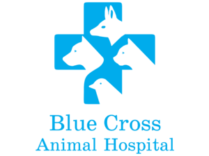 Blue Cross Animal Hospital 5733 Logo