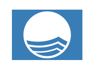 BLUE FLAG Logo