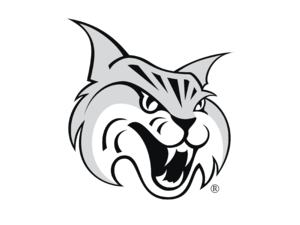 Bobcats 01 Logo