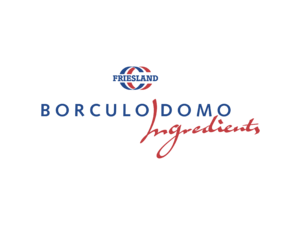 Borculo Domo 01 Logo