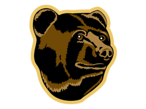 Boston Bruins 04 Logo