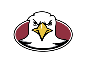 Boston College Eagles 05 Logo