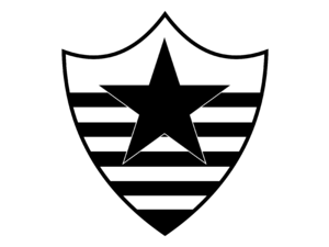 Botafogo Esporte Clube de Teresina PI Logo