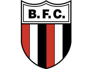 botafogo fc Logo