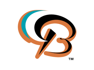Bowie Baysox 01 Logo
