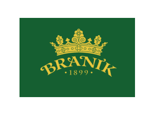 Branik Logo