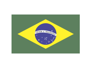 Brazil Logo