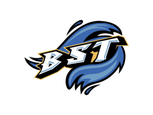 Bridgeport Sound Tigers Logo