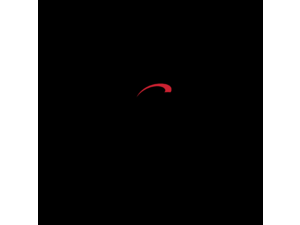 Broadxent Logo