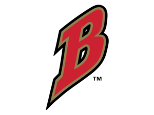 Buffalo Bisons 01 Logo