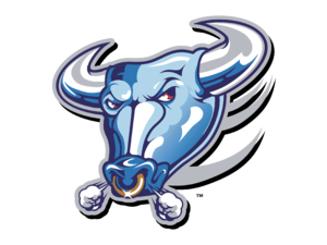 Buffalo Bulls Logo
