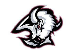 Buffalo Sabres 02 Logo
