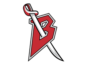 Buffalo Sabres 03 Logo